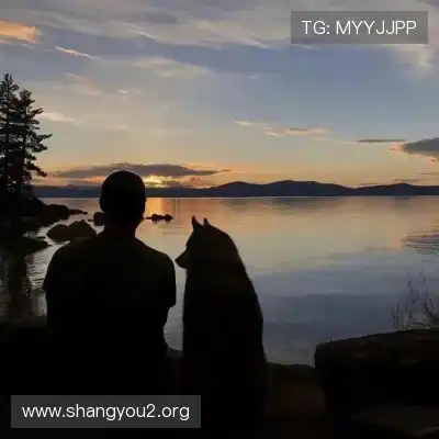 薛坤全